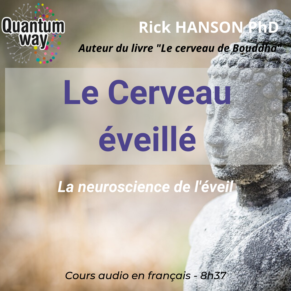 Rick Hanson – Le Cerveau Éveillé – Livre-Audio