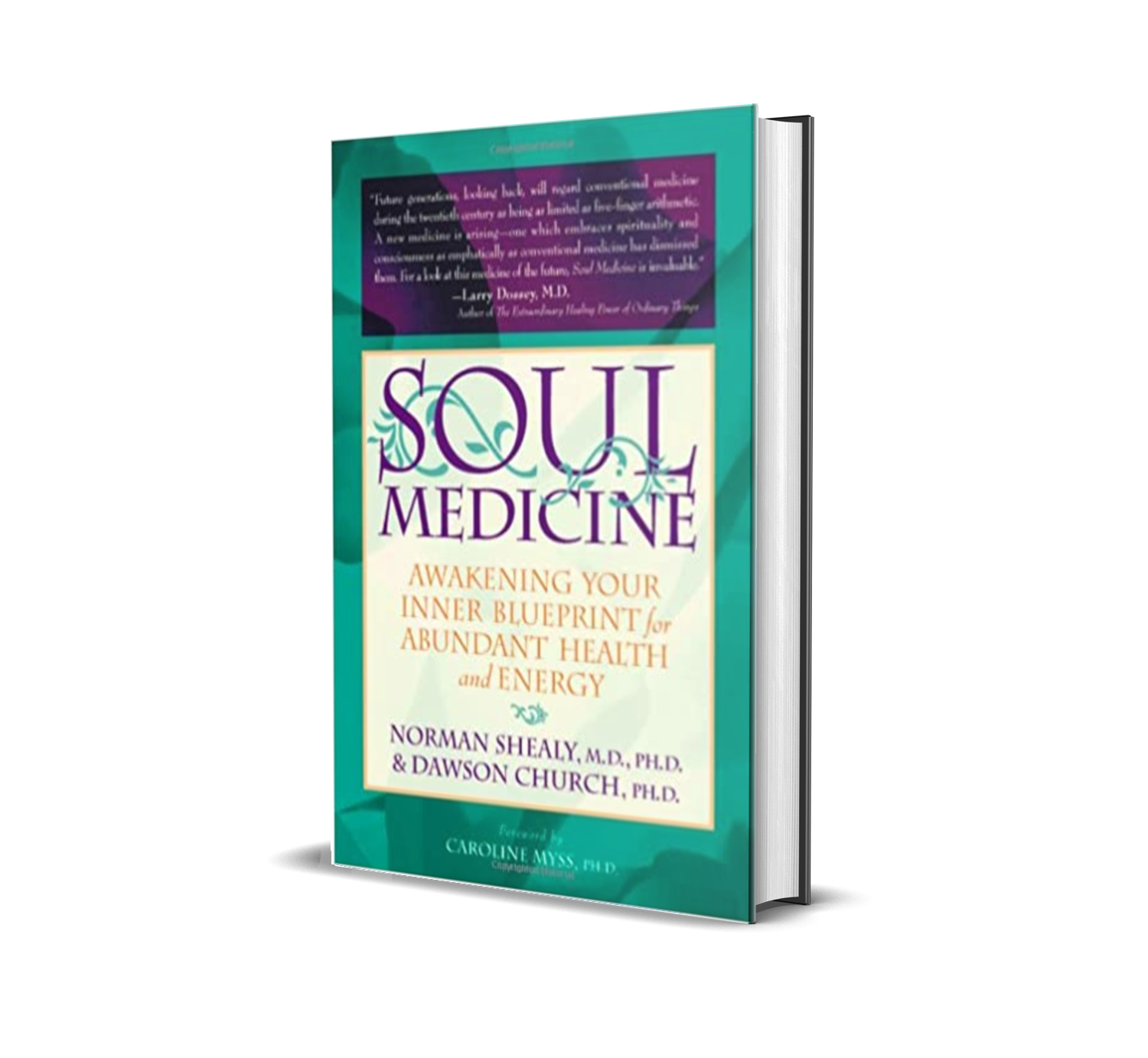 Soul Medicine Awakening Your Inner Blueprint for Abundant Health and Energy